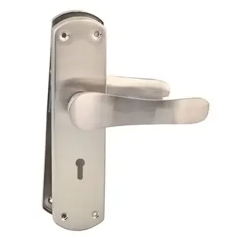 PLAZA ZODIAC KY :- 8 ZODIA MORTISE HANDLE + LEVER LOCK IN STAINLESS STEEL FINISH LEVER HANDLES PLAZA | Model: 6060