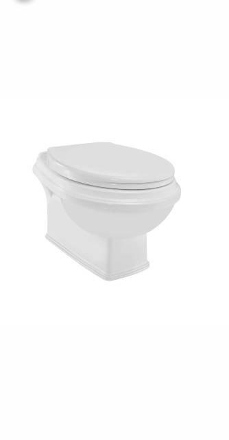 Rimless Wall Hung WC | Model : QPS-WHT-7953UFPM