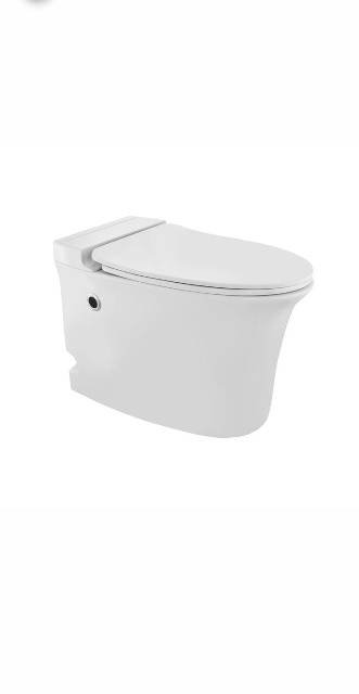 Tankless Single Piece WC | Model : ONS-WHT-10851S300UFSMTL