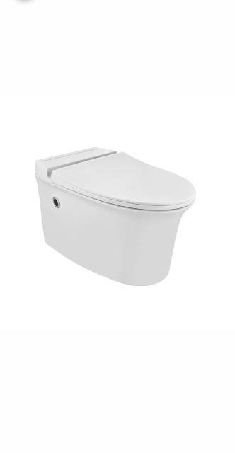 Tankless Wall Hung WC | Model : ONS-WHT-10961BIUFSMTL
