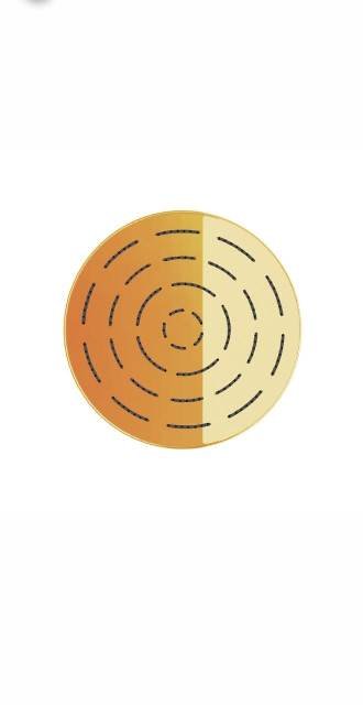 Maze Overhead Shower 200mm Round Shape Single Flow | Model : OHS-GBP-1613PD