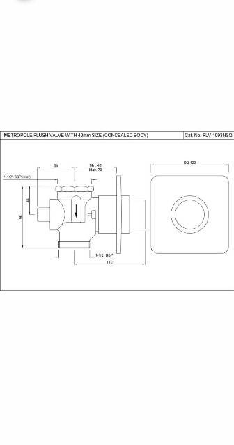 Metropole Flush Valve | Model : FLV-CHR-1093NSQ