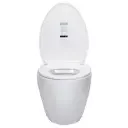 JAQUAR RIMLESS WALL HUNG WC WITH UF SOFT CLOSE VGS-WHITE-81953UF JAQUAR SANITARYWARE | Model: VGS-WHT-81953UF