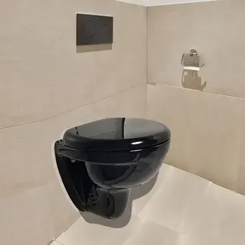 KOHLER PATIO WALLHUNG BOWL W/ FLUSH DIVERTER KOHLER | Model: 4187IN-WD-7