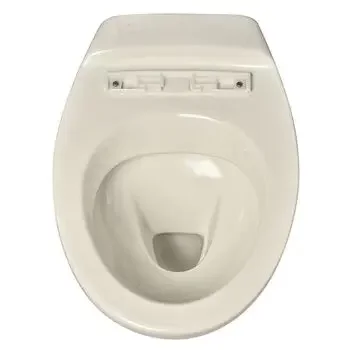 KOHLER PRESQUILE WALL-HUNG TOILET BOWL 19080IN-SS-0 KOHLER | Model: 19080IN-SS-0