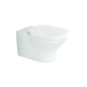 KOHLER FREELANCE WALL-HUNG TOILET,W/SC SEAT UF 18132IN-2SR-0 KOHLER | Model: 18132IN-2SR-0