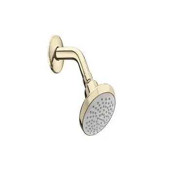 KOHLER SF SHOWER HEAD WITH ARM & ESCUTCHEON KOHLER | Model: 16356IN-A-AF